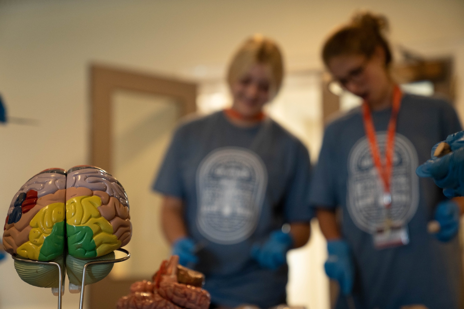 Neuroscience & Behavioral Biology High School Course