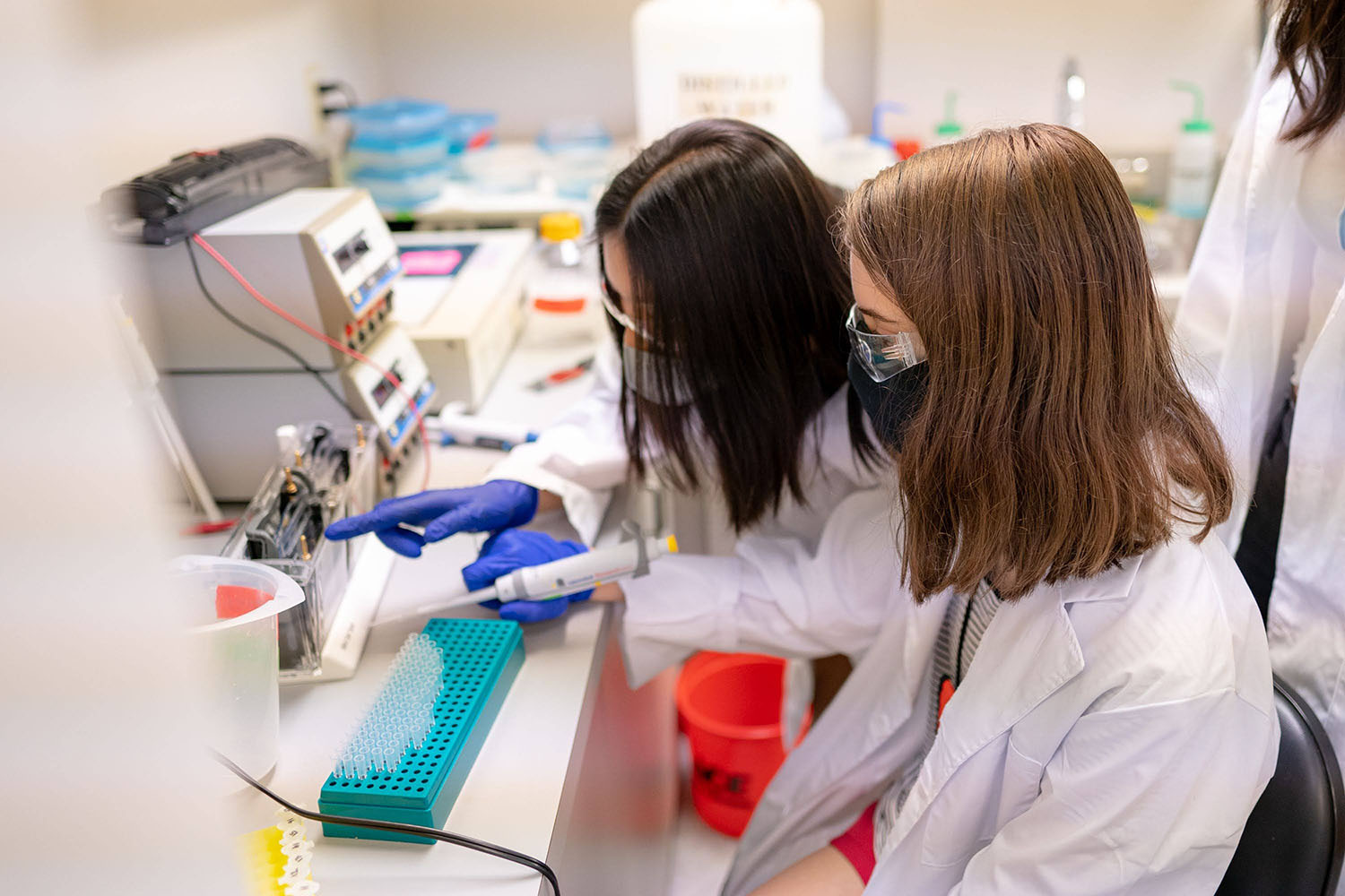 Foundations of Human Genetics