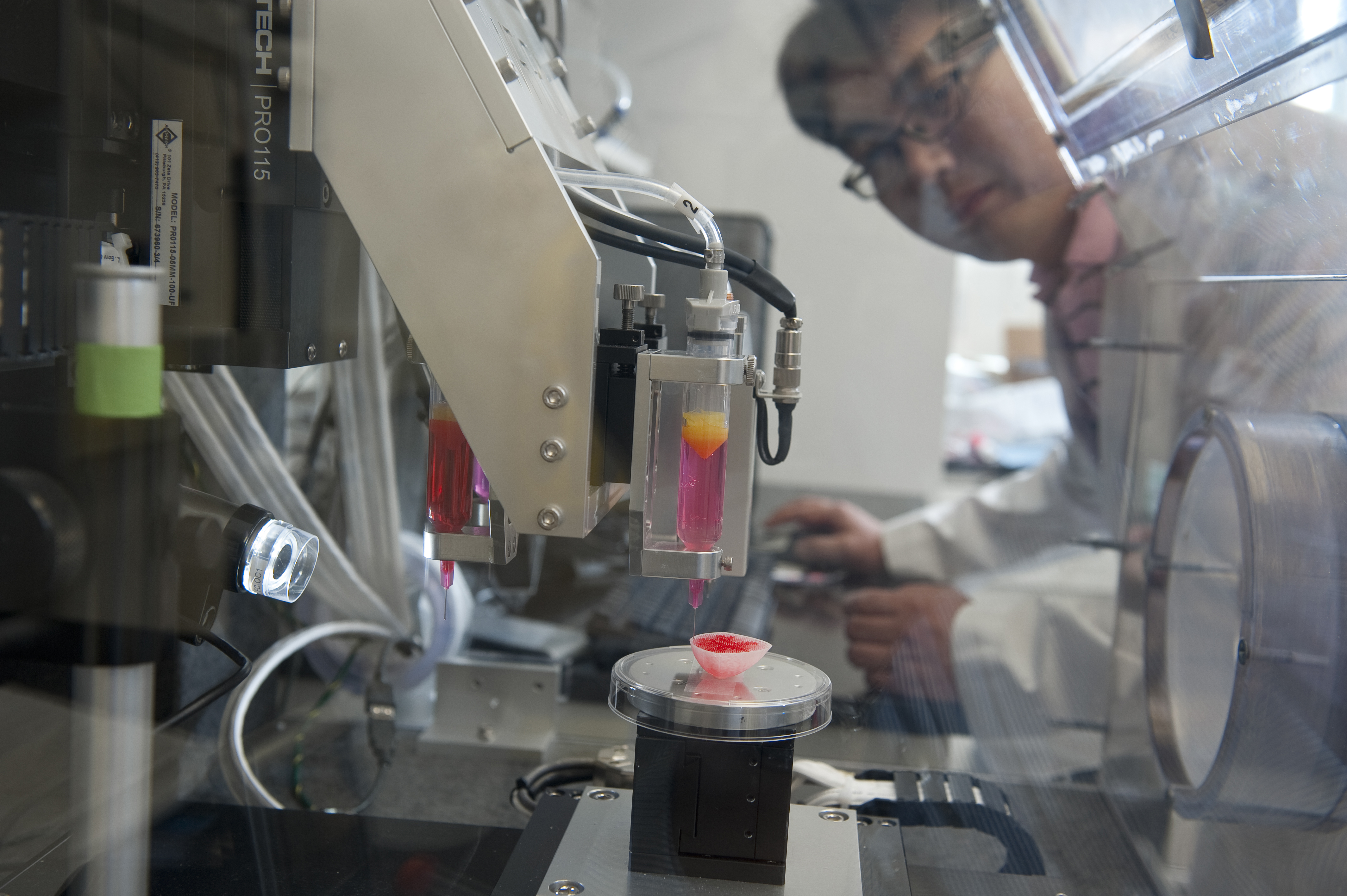 Regenerative Medicine Institute