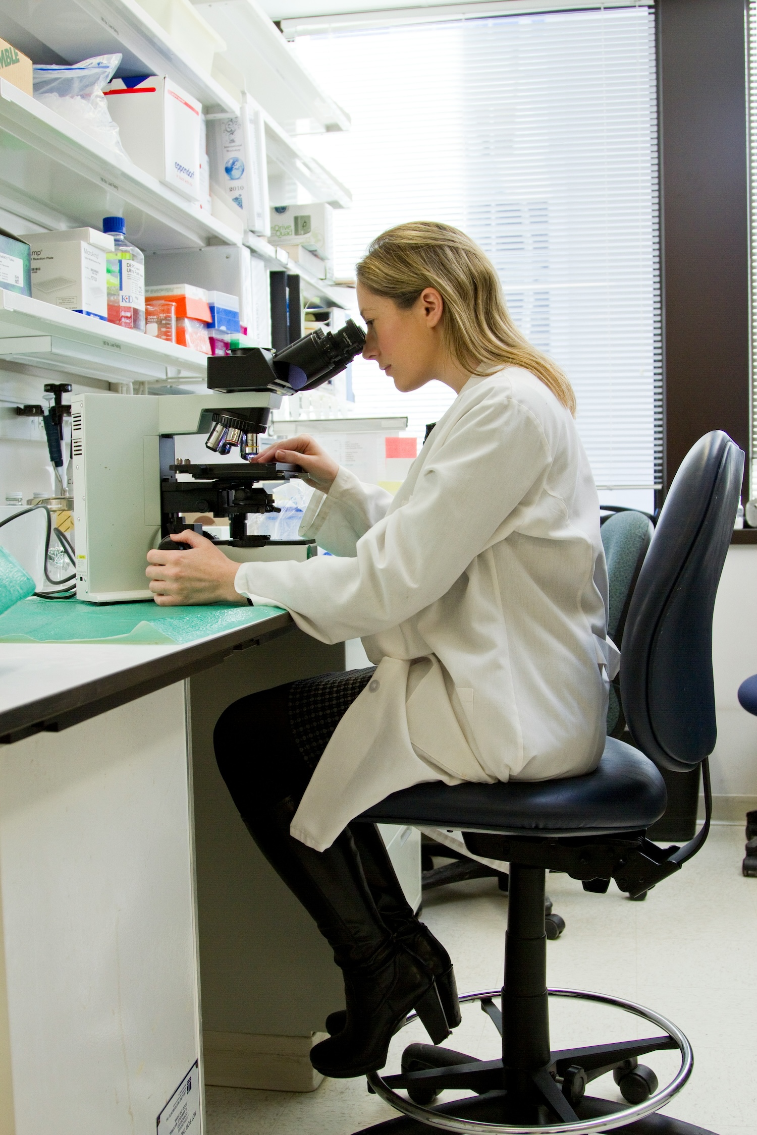 Medical Research Summer Program