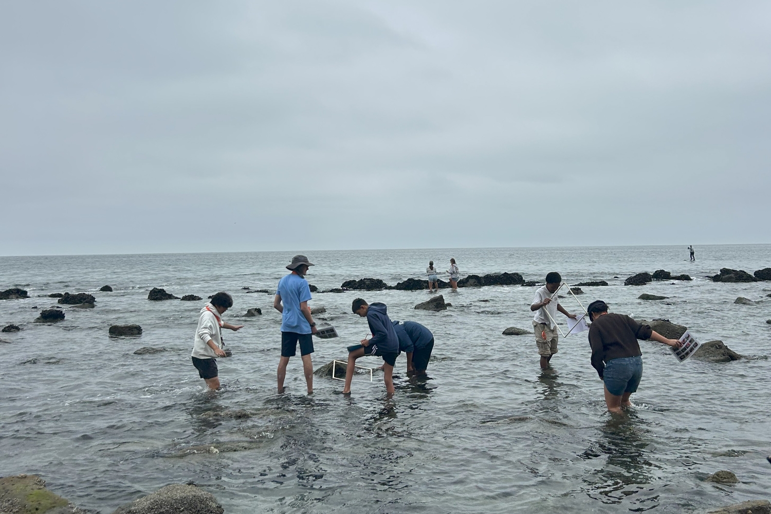 Marine Biology High School Course