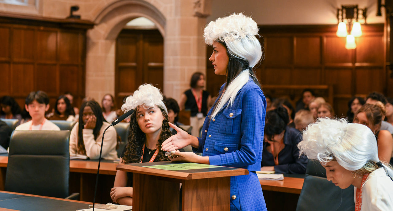 The Young Lawyer Summer Experience