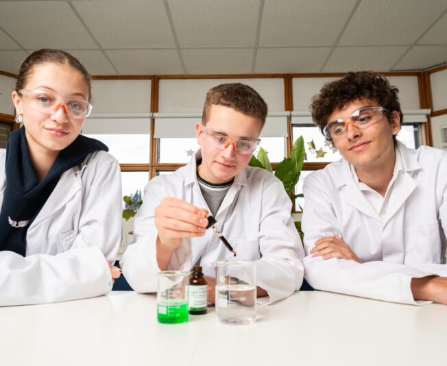 Faculty of Science & Technology (STEM)