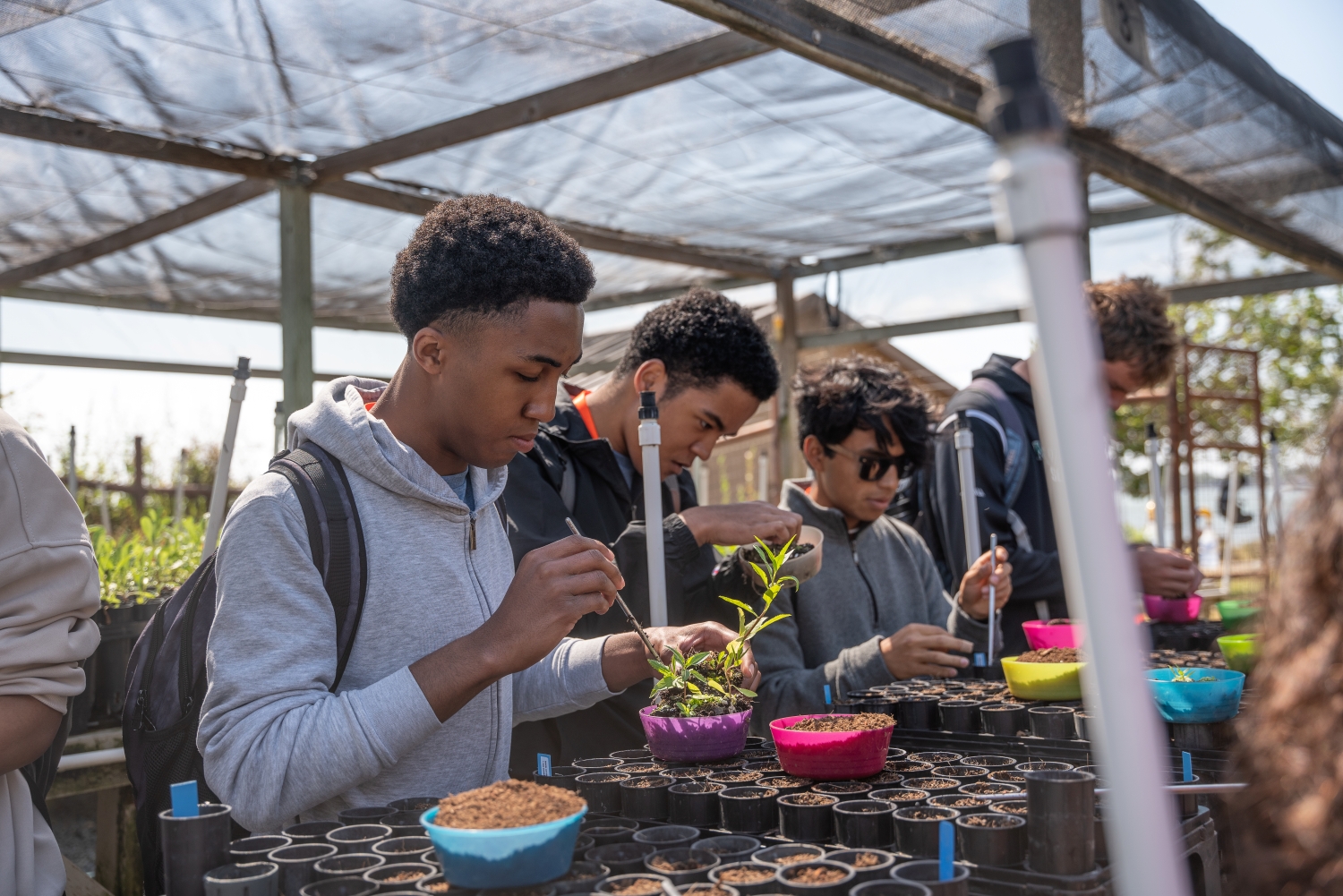 Ecology & Environmental Science High School Course