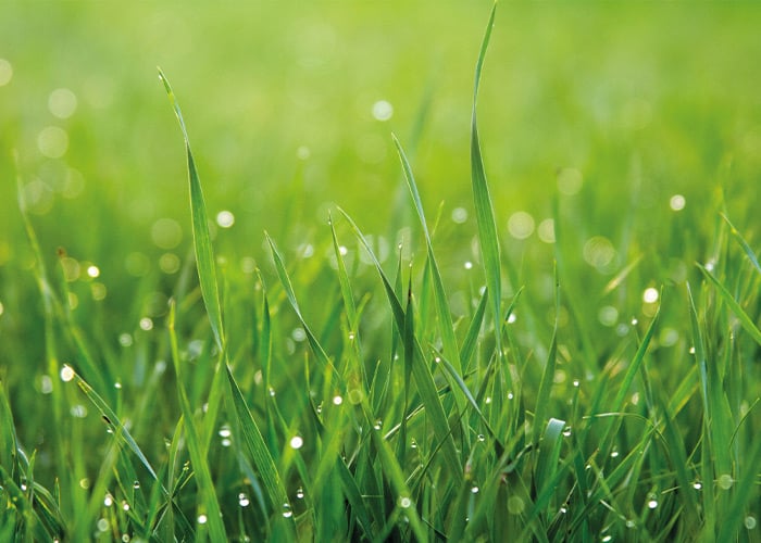 Sustainable Futures