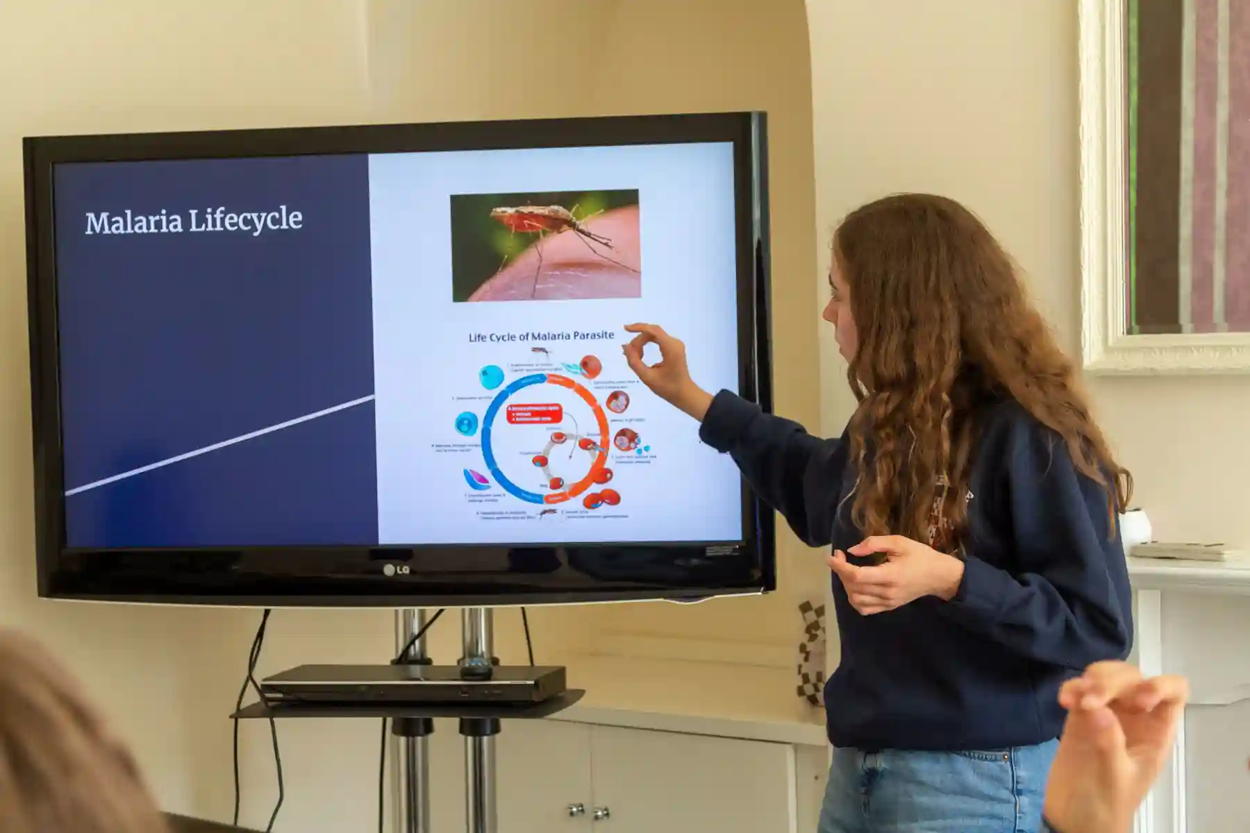 Biotechnology and Genetics Summer Course
