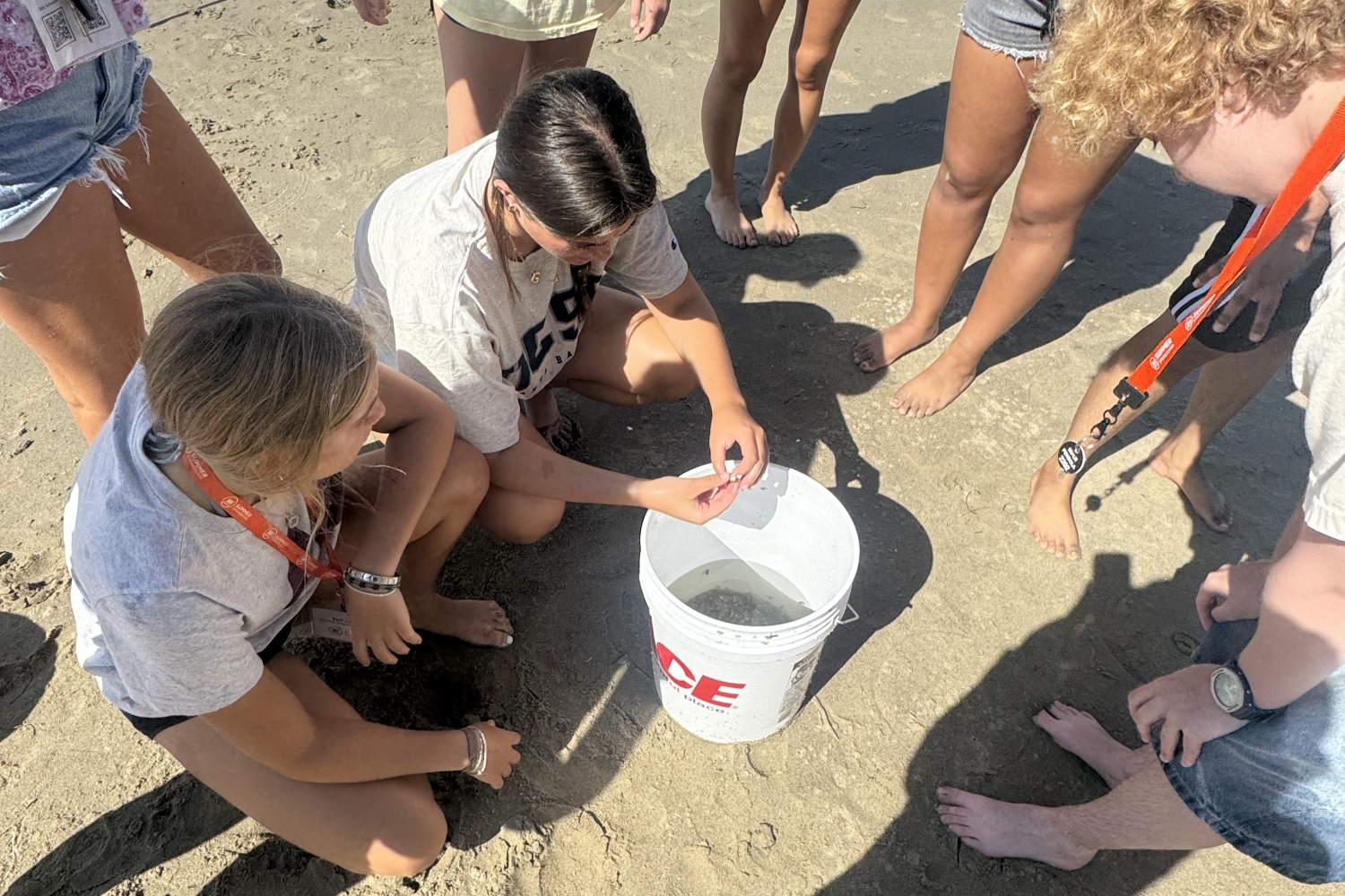 Marine Science & Ecology High School Course
