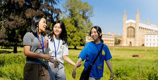 Law Summer Course