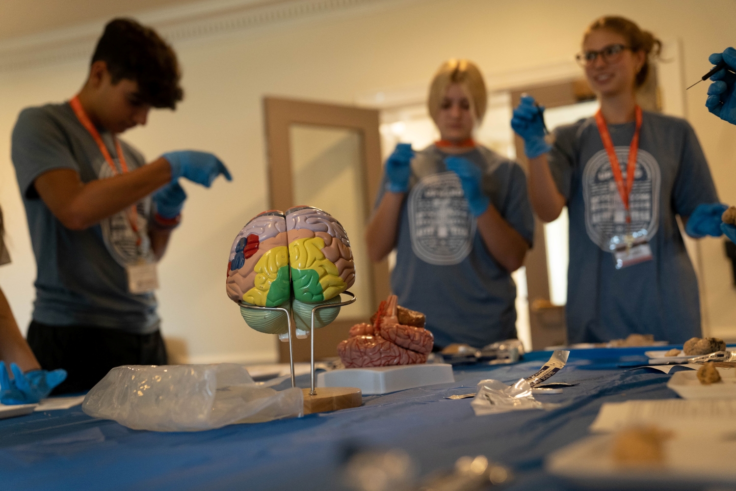 Psychology & Neuroscience High School Course