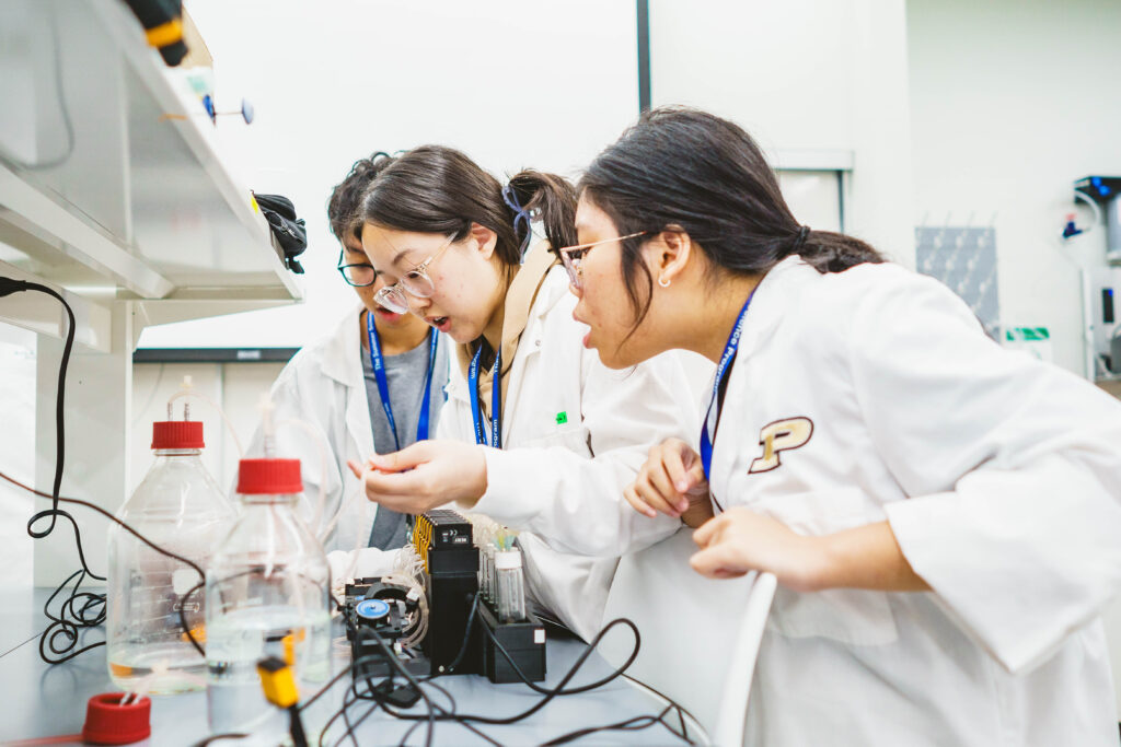 Cell Biology Summer Science Program