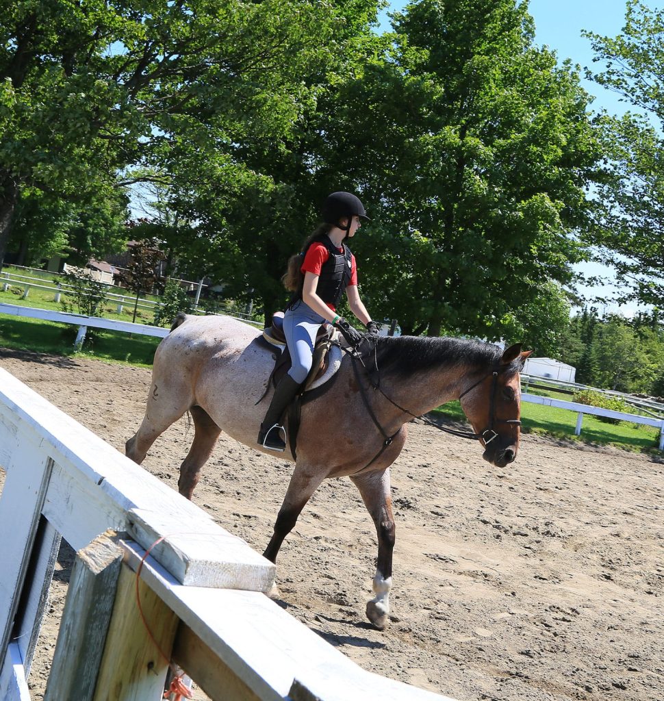 Horse Riding Camp