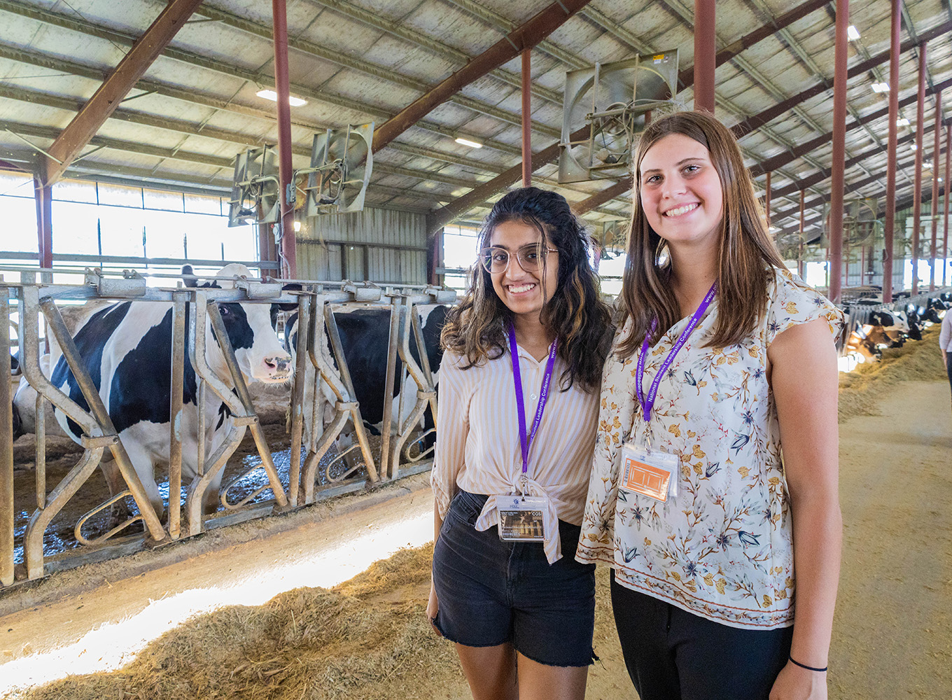 Veterinary Medicine Summer Program