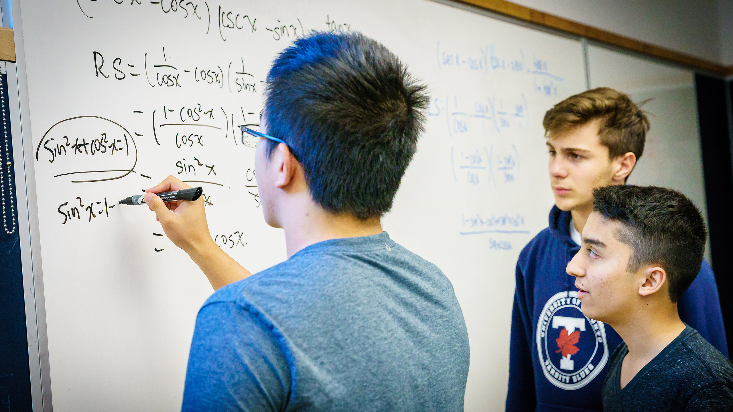 Mathematics of Data Management 12 Summer Credit Course