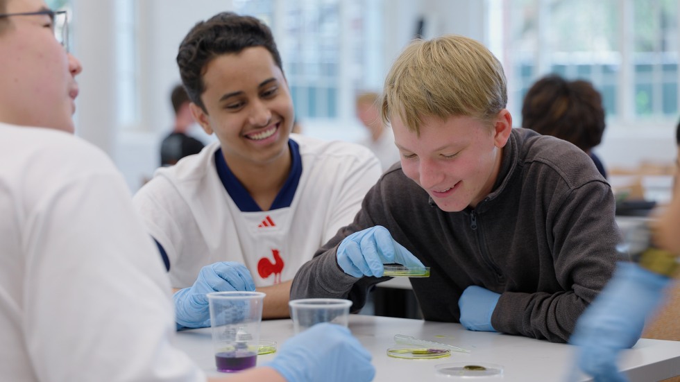 Chemistry in Drug Discovery: From Lab to Laptop