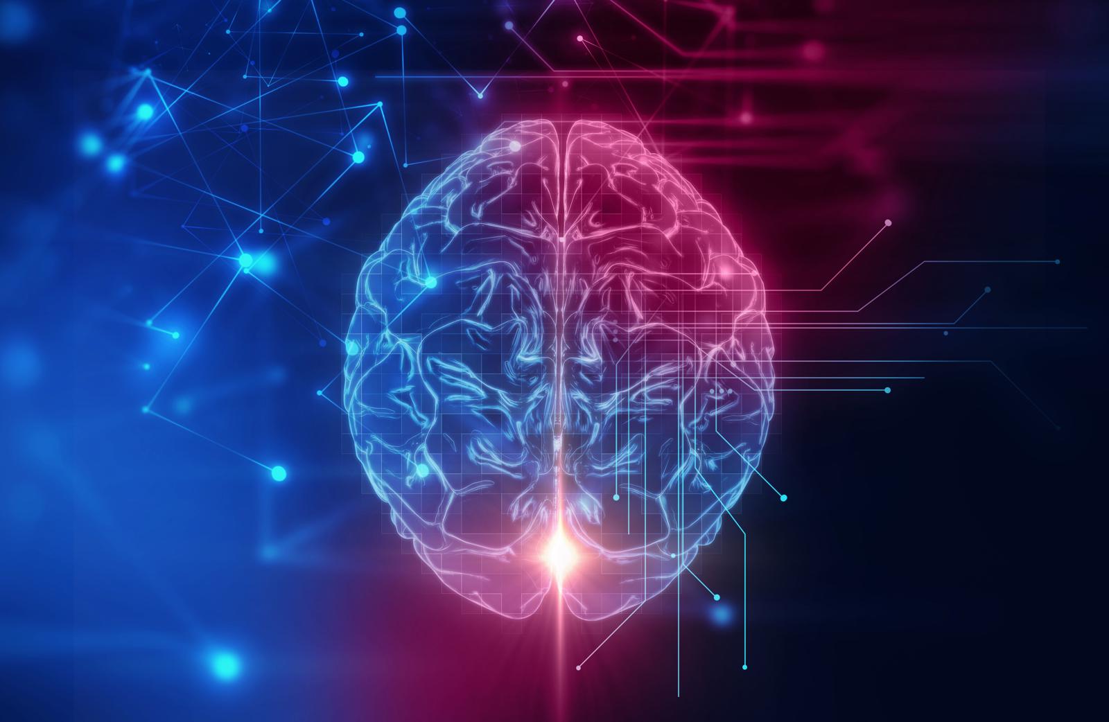 Psychology: The Mind & Body