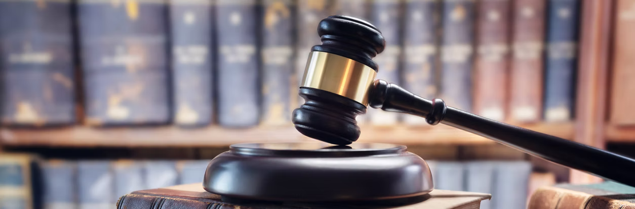 Law Internships