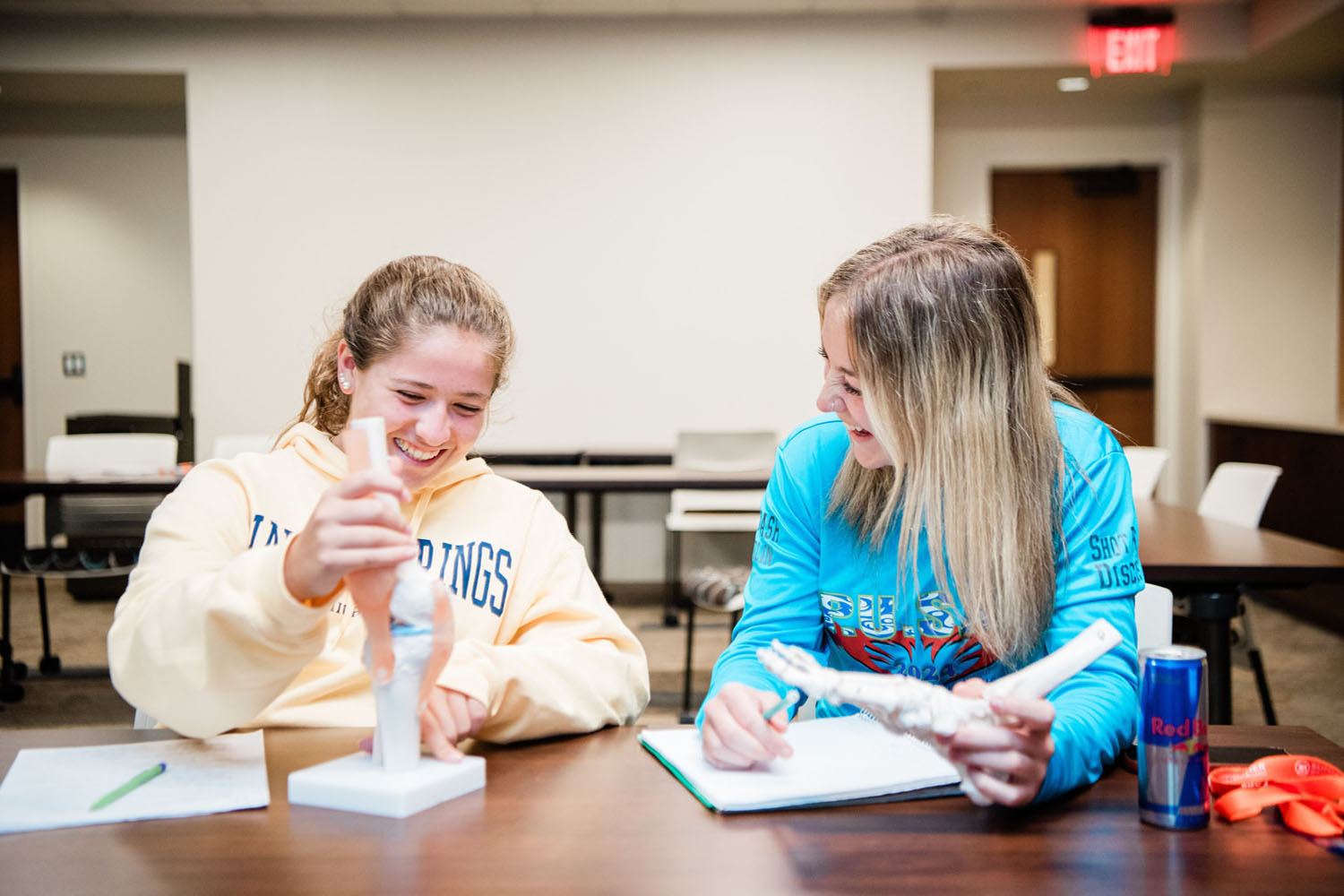 Kinesiology & Physical Therapy High School Course