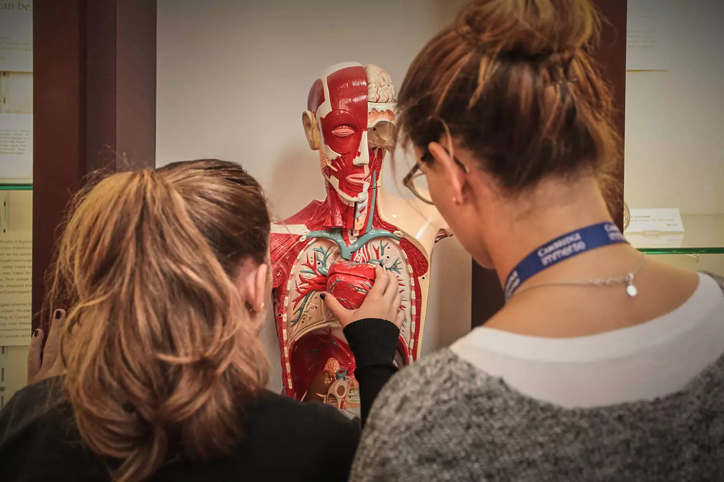 Academic Insights – Medicine