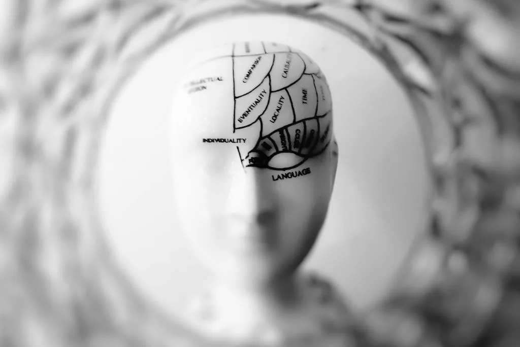 Psychology Summer Course