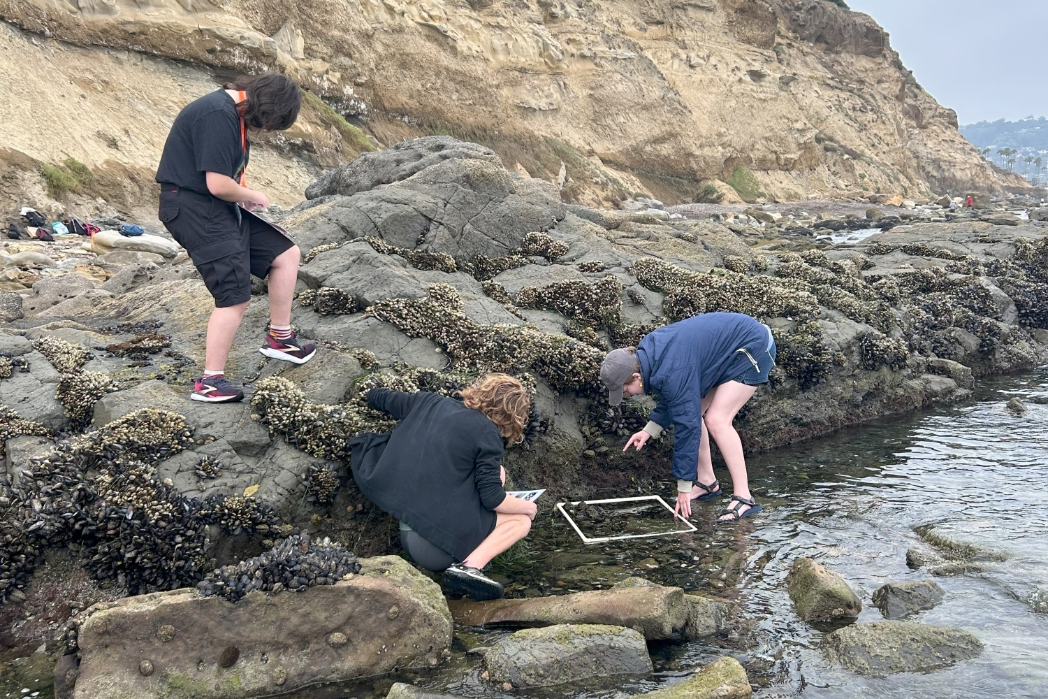 Marine Biology High School Course