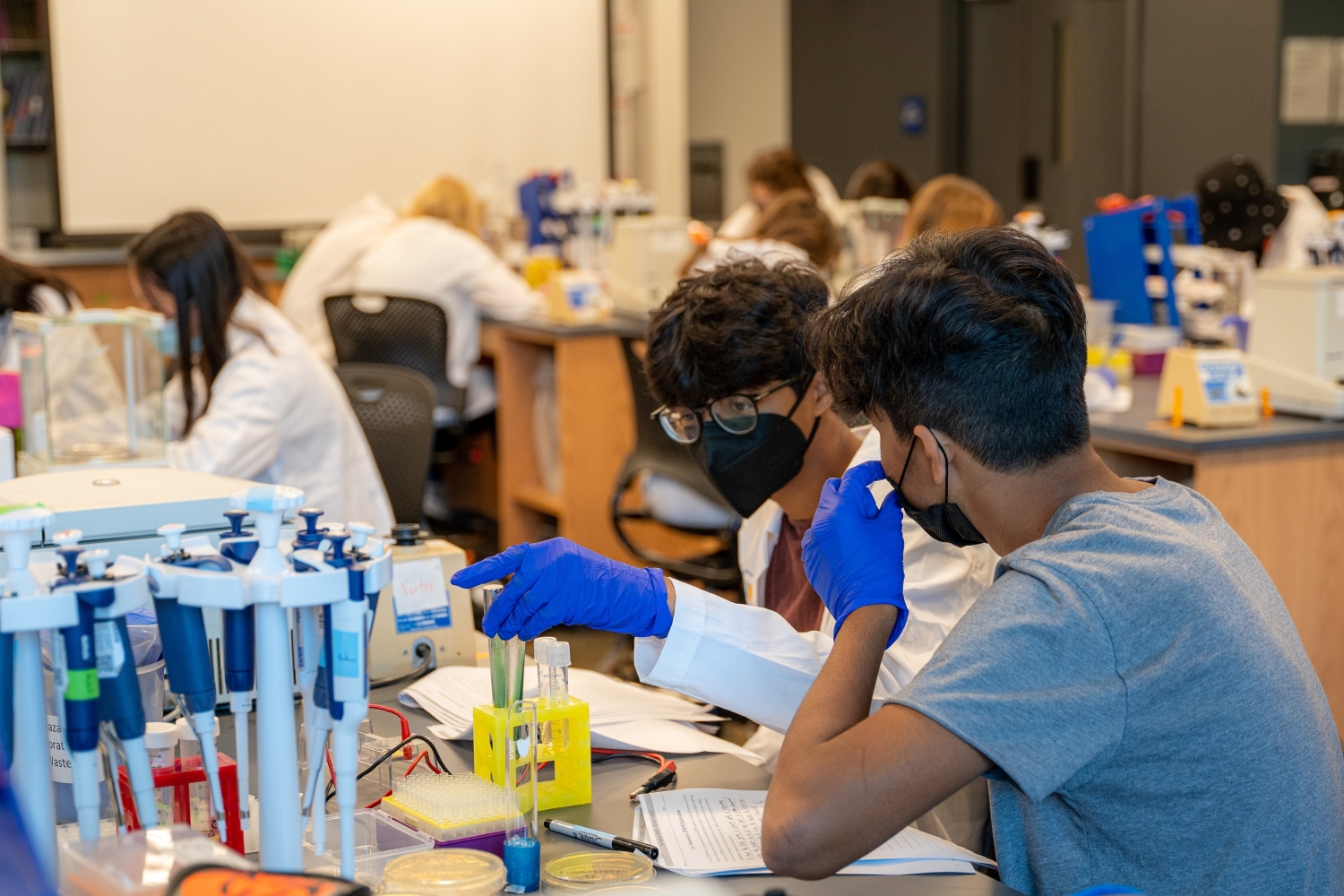 Foundations of Human Genetics