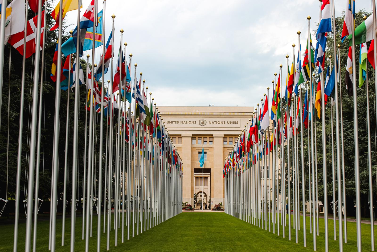 War & Diplomacy Summer School