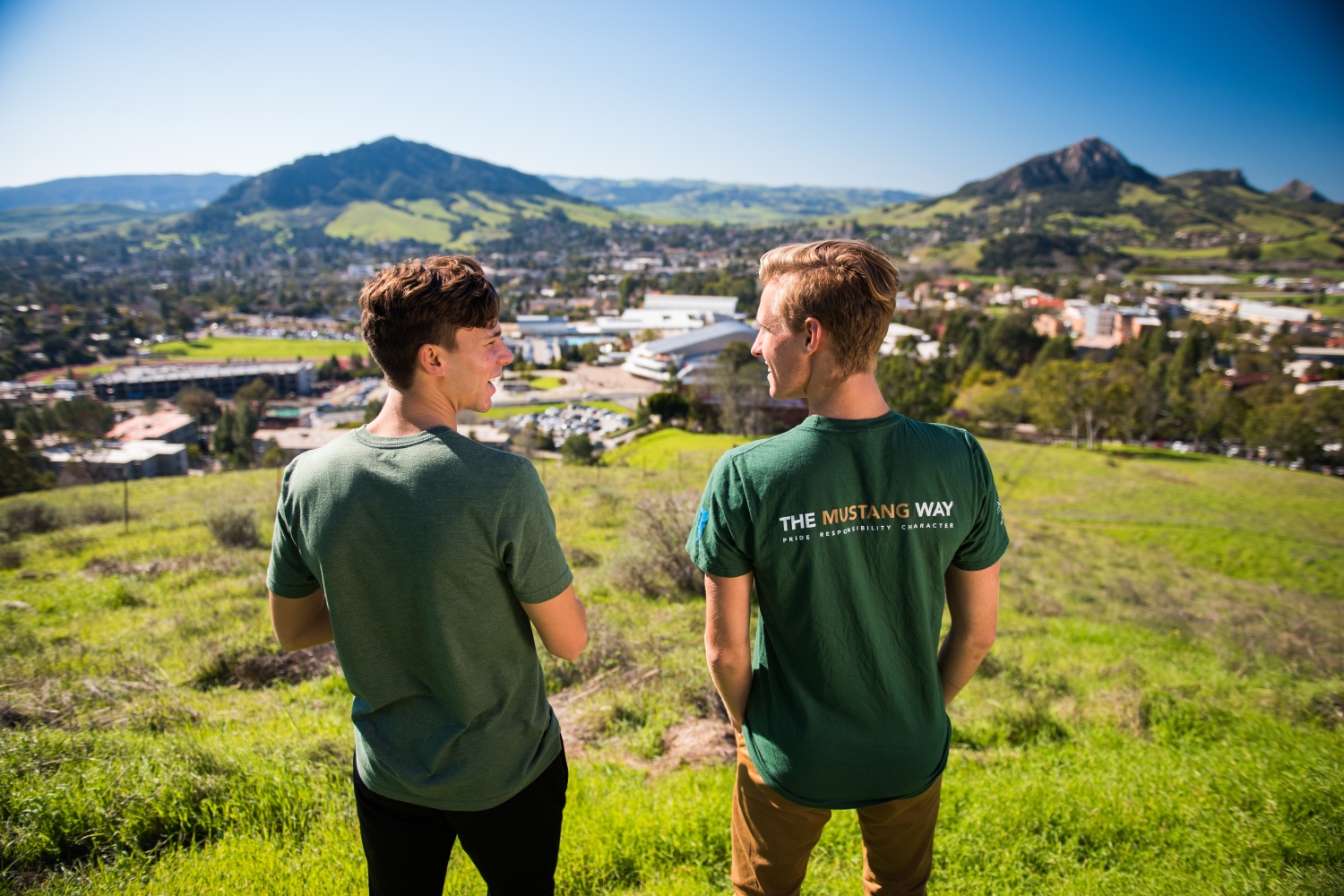 Energy for a Sustainable Society