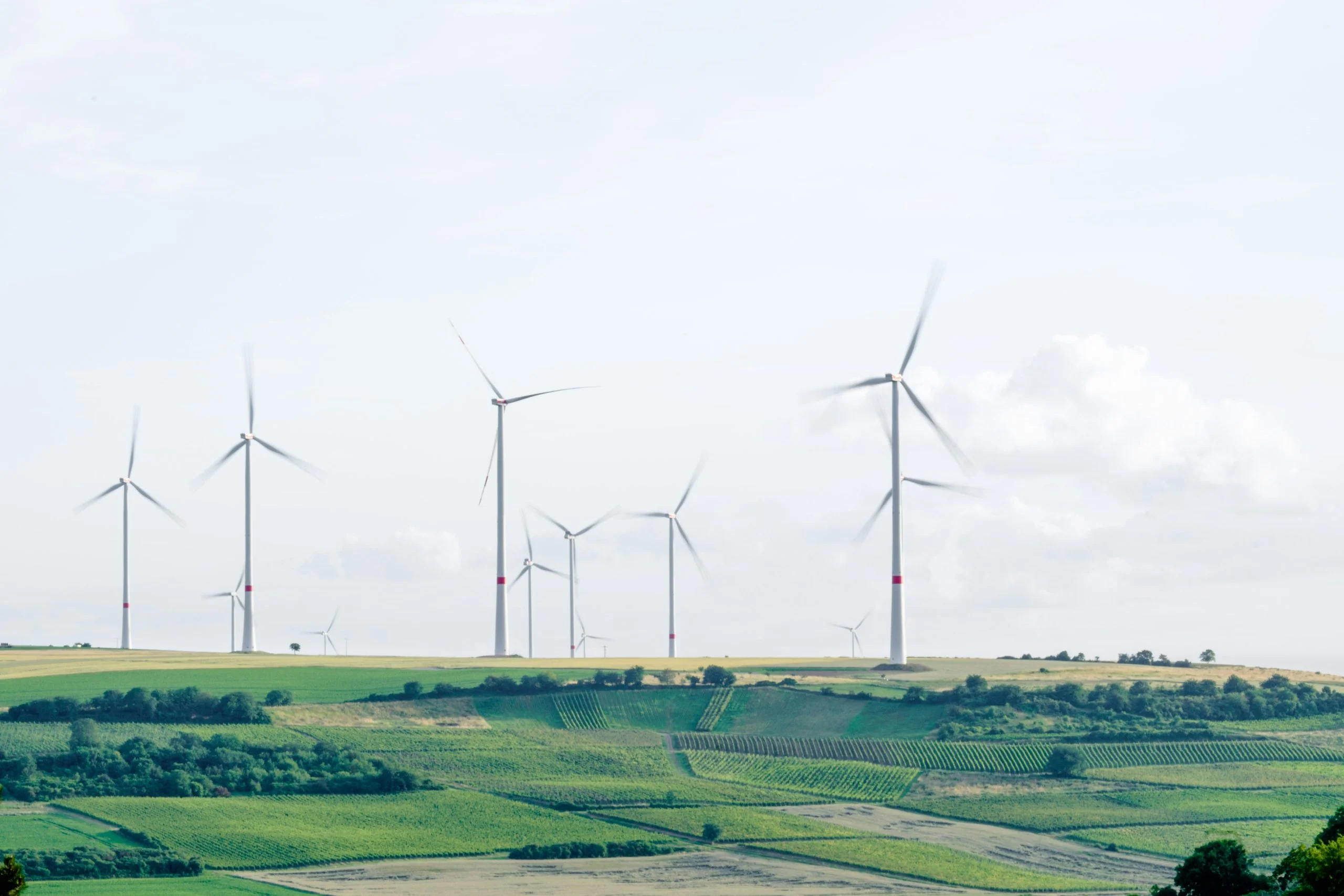 Environmental Science & Sustainability Summer Course in Cambridge, UK