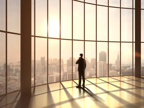The Young Entrepreneur Summer Experience