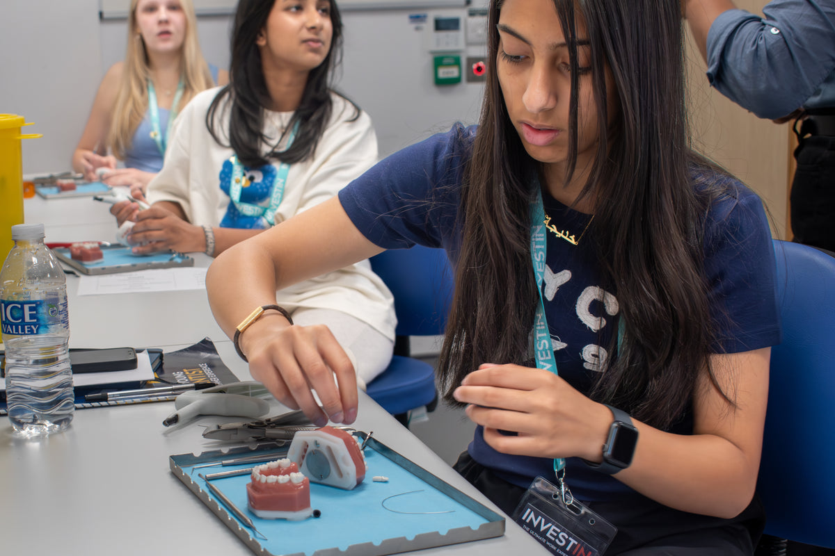 The Young Dentist Summer Experience