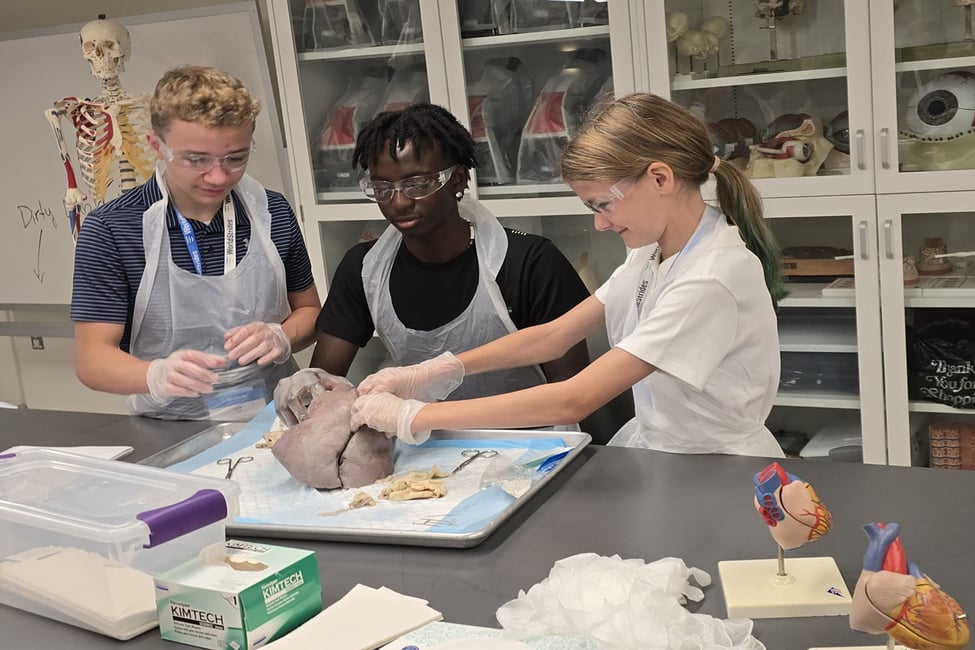 Junior Medicine & Health Care Summer Program