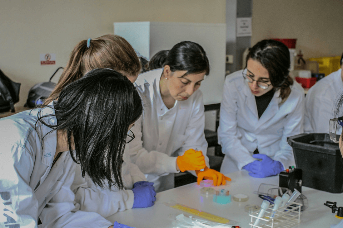 Medicine & Life Sciences Summer Course