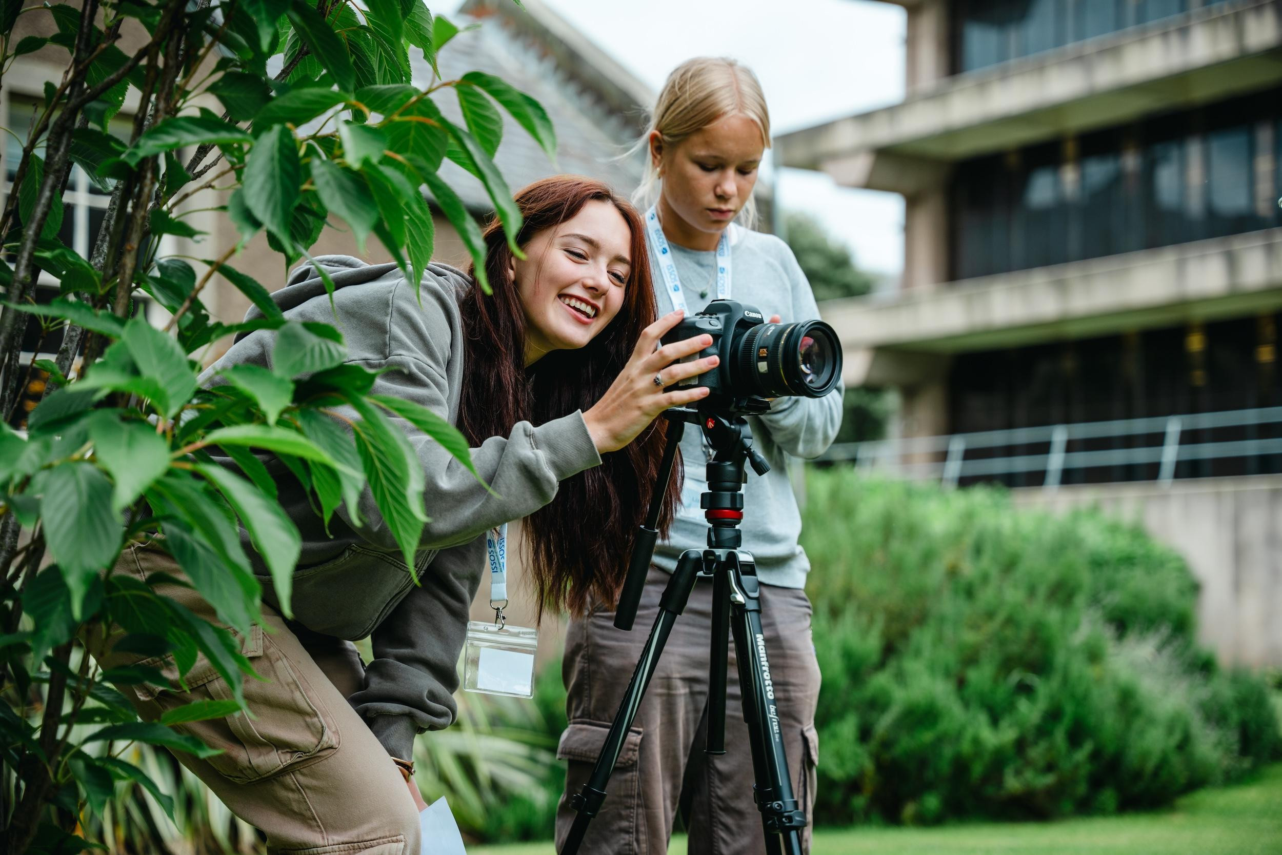 Film Summer Programme