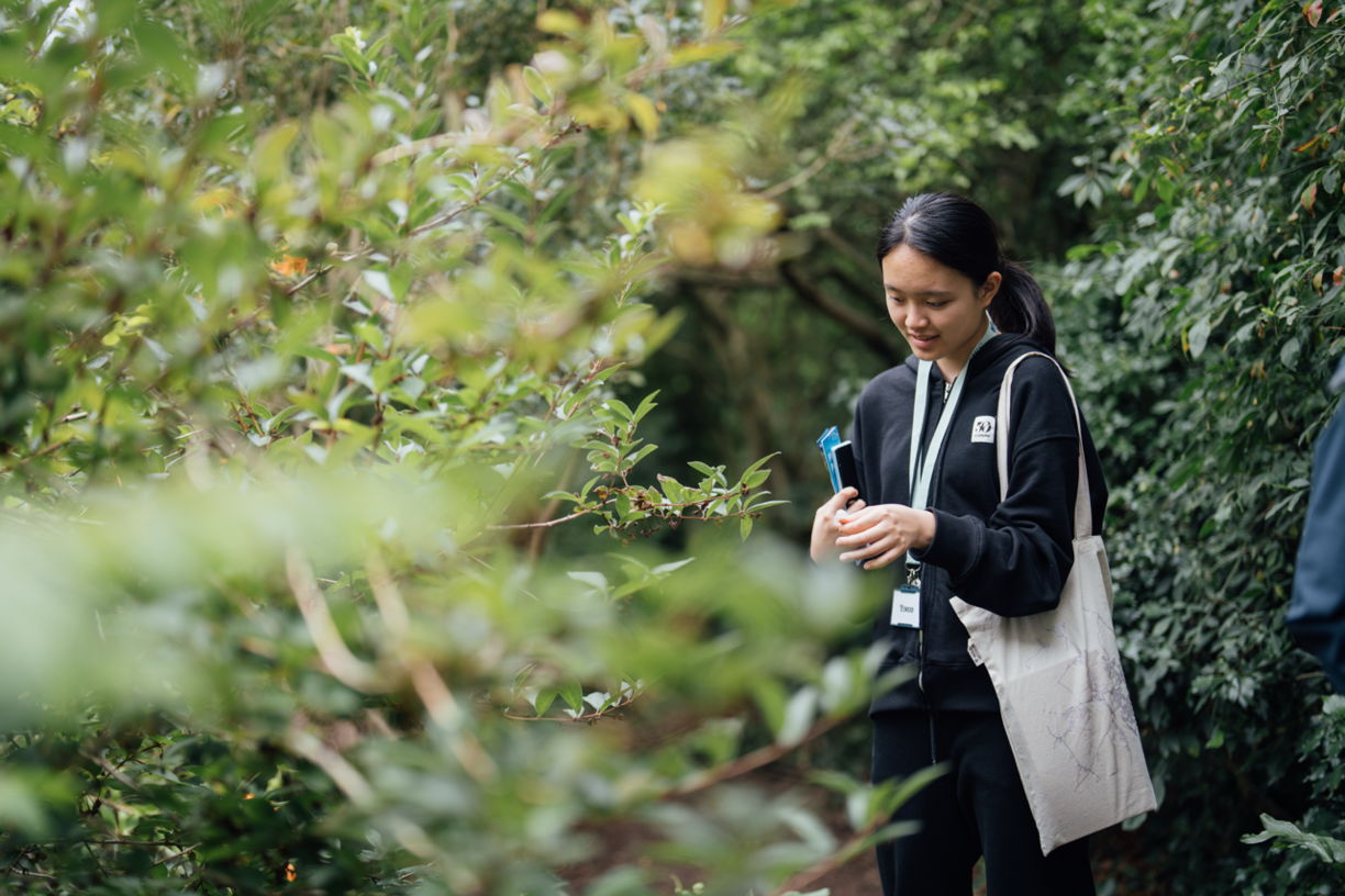 Junior Medical and Biological Sciences Programme
