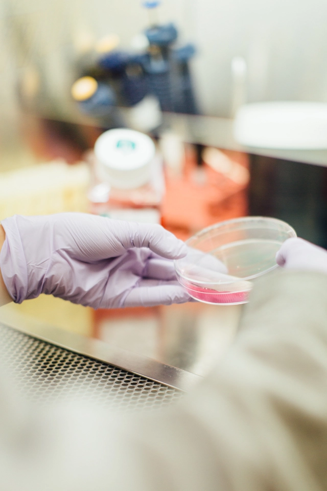 Treating Cancer: Learn about cancer immunotherapy and explore where the field is headed