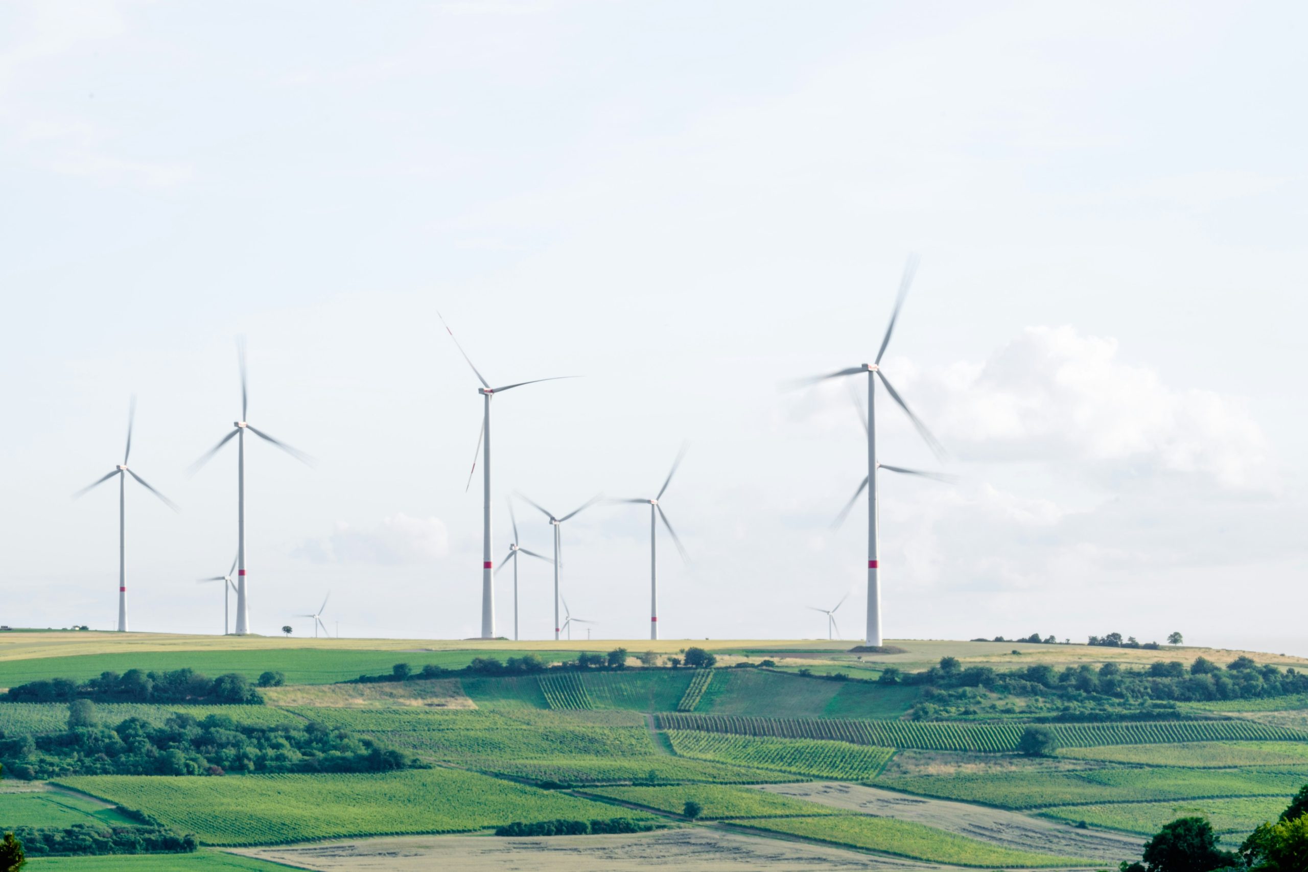 Environmental Science & Sustainability Summer Course in Cambridge, UK
